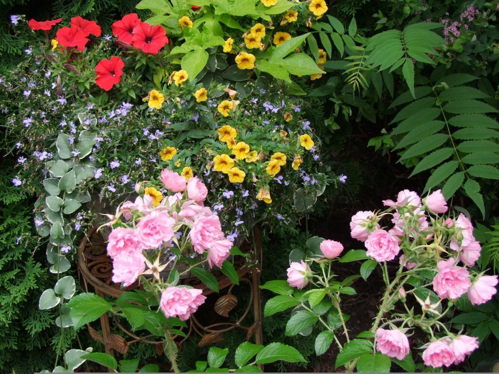 In Elegance Bed and Breakfast Niagara-on-the-Lake Esterno foto